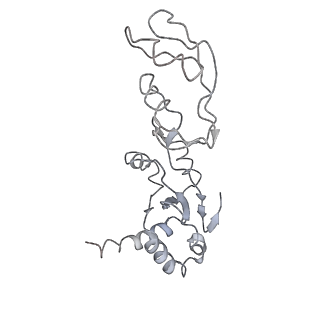 7834_6d90_s_v1-2
Mammalian 80S ribosome with a double translocated CrPV-IRES, P-site tRNA and eRF1.