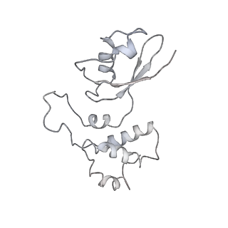 7834_6d90_t_v1-2
Mammalian 80S ribosome with a double translocated CrPV-IRES, P-site tRNA and eRF1.