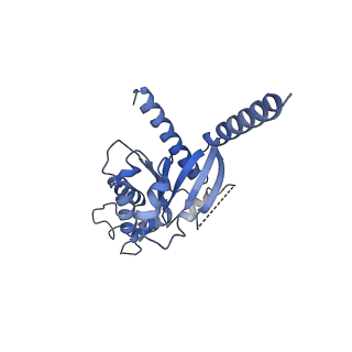 7835_6d9h_A_v1-2
Cryo-EM structure of the human adenosine A1 receptor-Gi2-protein complex bound to its endogenous agonist