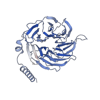 7835_6d9h_B_v1-2
Cryo-EM structure of the human adenosine A1 receptor-Gi2-protein complex bound to its endogenous agonist