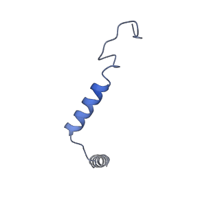 7835_6d9h_G_v1-2
Cryo-EM structure of the human adenosine A1 receptor-Gi2-protein complex bound to its endogenous agonist