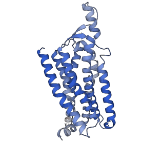 7835_6d9h_R_v1-2
Cryo-EM structure of the human adenosine A1 receptor-Gi2-protein complex bound to its endogenous agonist