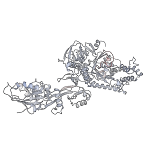 7836_6d9j_9_v1-2
Mammalian 80S ribosome with a double translocated CrPV-IRES, P-sitetRNA and eRF1.