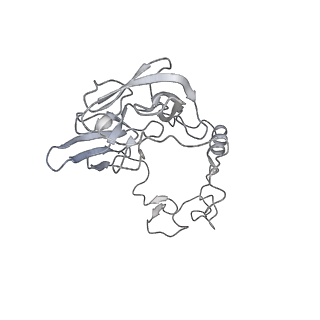 7836_6d9j_A_v1-2
Mammalian 80S ribosome with a double translocated CrPV-IRES, P-sitetRNA and eRF1.
