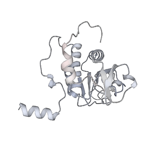 7836_6d9j_BB_v1-2
Mammalian 80S ribosome with a double translocated CrPV-IRES, P-sitetRNA and eRF1.