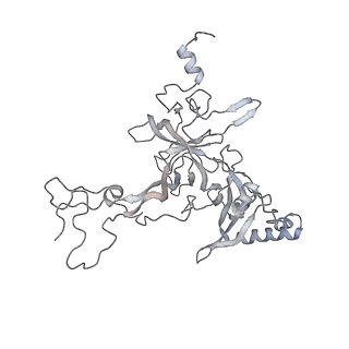 7836_6d9j_B_v1-2
Mammalian 80S ribosome with a double translocated CrPV-IRES, P-sitetRNA and eRF1.