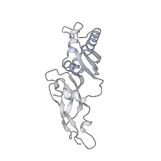 7836_6d9j_CC_v1-2
Mammalian 80S ribosome with a double translocated CrPV-IRES, P-sitetRNA and eRF1.