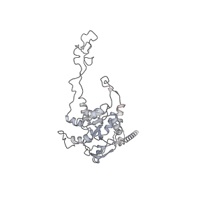 7836_6d9j_C_v1-2
Mammalian 80S ribosome with a double translocated CrPV-IRES, P-sitetRNA and eRF1.