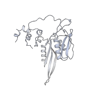 7836_6d9j_DD_v1-2
Mammalian 80S ribosome with a double translocated CrPV-IRES, P-sitetRNA and eRF1.