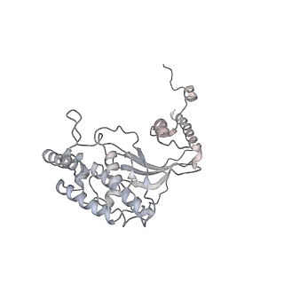 7836_6d9j_D_v1-2
Mammalian 80S ribosome with a double translocated CrPV-IRES, P-sitetRNA and eRF1.