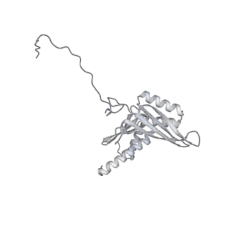 7836_6d9j_EE_v1-2
Mammalian 80S ribosome with a double translocated CrPV-IRES, P-sitetRNA and eRF1.