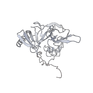 7836_6d9j_FF_v1-2
Mammalian 80S ribosome with a double translocated CrPV-IRES, P-sitetRNA and eRF1.