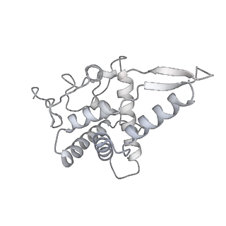 7836_6d9j_GG_v1-2
Mammalian 80S ribosome with a double translocated CrPV-IRES, P-sitetRNA and eRF1.