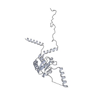 7836_6d9j_G_v1-2
Mammalian 80S ribosome with a double translocated CrPV-IRES, P-sitetRNA and eRF1.
