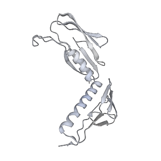 7836_6d9j_H_v1-2
Mammalian 80S ribosome with a double translocated CrPV-IRES, P-sitetRNA and eRF1.