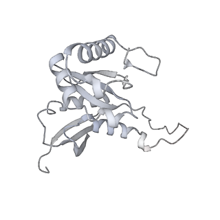 7836_6d9j_II_v1-2
Mammalian 80S ribosome with a double translocated CrPV-IRES, P-sitetRNA and eRF1.