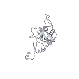 7836_6d9j_I_v1-2
Mammalian 80S ribosome with a double translocated CrPV-IRES, P-sitetRNA and eRF1.