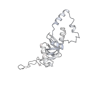 7836_6d9j_JJ_v1-2
Mammalian 80S ribosome with a double translocated CrPV-IRES, P-sitetRNA and eRF1.