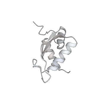 7836_6d9j_LL_v1-2
Mammalian 80S ribosome with a double translocated CrPV-IRES, P-sitetRNA and eRF1.