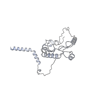 7836_6d9j_L_v1-2
Mammalian 80S ribosome with a double translocated CrPV-IRES, P-sitetRNA and eRF1.