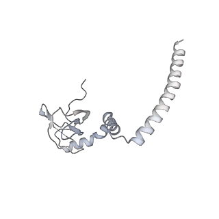 7836_6d9j_M_v1-2
Mammalian 80S ribosome with a double translocated CrPV-IRES, P-sitetRNA and eRF1.