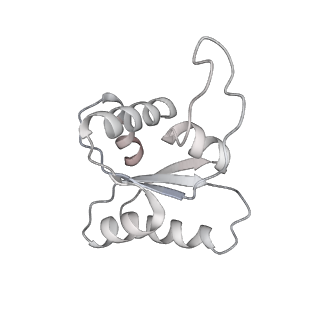 7836_6d9j_NN_v1-2
Mammalian 80S ribosome with a double translocated CrPV-IRES, P-sitetRNA and eRF1.