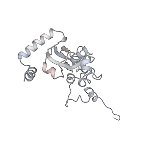7836_6d9j_N_v1-2
Mammalian 80S ribosome with a double translocated CrPV-IRES, P-sitetRNA and eRF1.