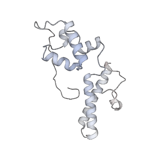 7836_6d9j_OO_v1-2
Mammalian 80S ribosome with a double translocated CrPV-IRES, P-sitetRNA and eRF1.