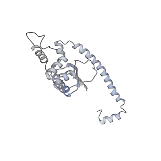 7836_6d9j_O_v1-2
Mammalian 80S ribosome with a double translocated CrPV-IRES, P-sitetRNA and eRF1.