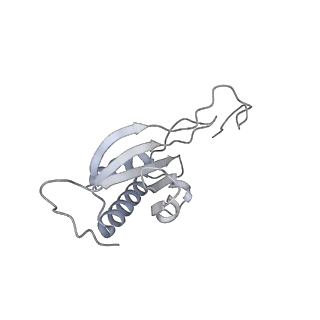 7836_6d9j_PP_v1-2
Mammalian 80S ribosome with a double translocated CrPV-IRES, P-sitetRNA and eRF1.
