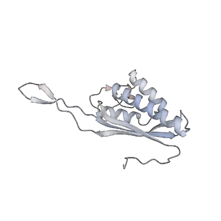7836_6d9j_P_v1-2
Mammalian 80S ribosome with a double translocated CrPV-IRES, P-sitetRNA and eRF1.