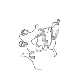 7836_6d9j_QQ_v1-2
Mammalian 80S ribosome with a double translocated CrPV-IRES, P-sitetRNA and eRF1.