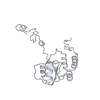 7836_6d9j_Q_v1-2
Mammalian 80S ribosome with a double translocated CrPV-IRES, P-sitetRNA and eRF1.