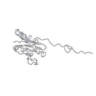 7836_6d9j_RR_v1-2
Mammalian 80S ribosome with a double translocated CrPV-IRES, P-sitetRNA and eRF1.
