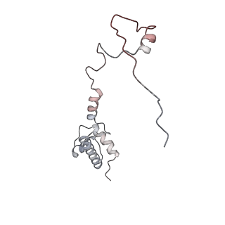 7836_6d9j_SS_v1-2
Mammalian 80S ribosome with a double translocated CrPV-IRES, P-sitetRNA and eRF1.