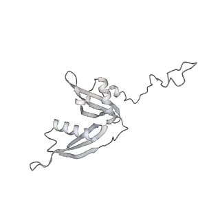 7836_6d9j_S_v1-2
Mammalian 80S ribosome with a double translocated CrPV-IRES, P-sitetRNA and eRF1.