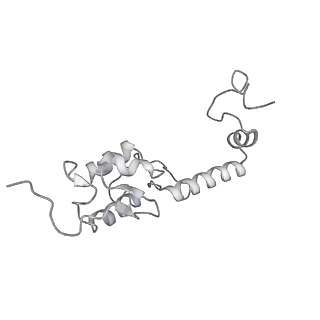 7836_6d9j_TT_v1-2
Mammalian 80S ribosome with a double translocated CrPV-IRES, P-sitetRNA and eRF1.