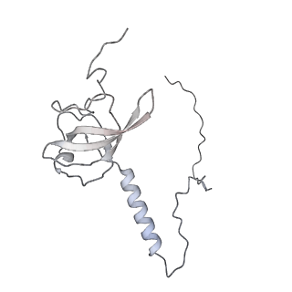 7836_6d9j_T_v1-2
Mammalian 80S ribosome with a double translocated CrPV-IRES, P-sitetRNA and eRF1.