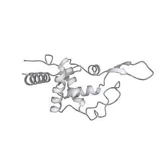 7836_6d9j_UU_v1-2
Mammalian 80S ribosome with a double translocated CrPV-IRES, P-sitetRNA and eRF1.