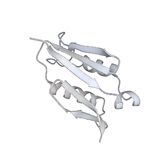 7836_6d9j_U_v1-2
Mammalian 80S ribosome with a double translocated CrPV-IRES, P-sitetRNA and eRF1.