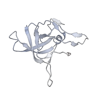 7836_6d9j_V_v1-2
Mammalian 80S ribosome with a double translocated CrPV-IRES, P-sitetRNA and eRF1.