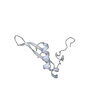 7836_6d9j_WW_v1-2
Mammalian 80S ribosome with a double translocated CrPV-IRES, P-sitetRNA and eRF1.