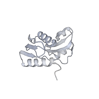 7836_6d9j_XX_v1-2
Mammalian 80S ribosome with a double translocated CrPV-IRES, P-sitetRNA and eRF1.