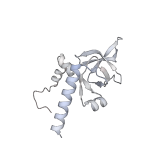 7836_6d9j_Y_v1-2
Mammalian 80S ribosome with a double translocated CrPV-IRES, P-sitetRNA and eRF1.