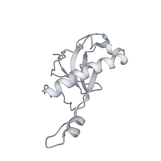7836_6d9j_Z_v1-2
Mammalian 80S ribosome with a double translocated CrPV-IRES, P-sitetRNA and eRF1.