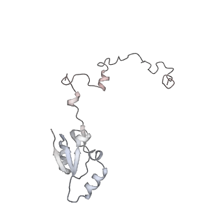 7836_6d9j_a_v1-2
Mammalian 80S ribosome with a double translocated CrPV-IRES, P-sitetRNA and eRF1.