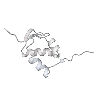 7836_6d9j_aa_v1-2
Mammalian 80S ribosome with a double translocated CrPV-IRES, P-sitetRNA and eRF1.