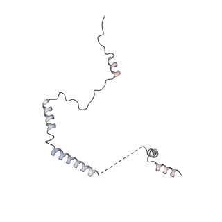 7836_6d9j_b_v1-2
Mammalian 80S ribosome with a double translocated CrPV-IRES, P-sitetRNA and eRF1.