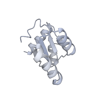 7836_6d9j_c_v1-2
Mammalian 80S ribosome with a double translocated CrPV-IRES, P-sitetRNA and eRF1.