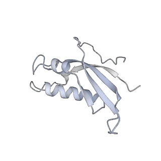 7836_6d9j_d_v1-2
Mammalian 80S ribosome with a double translocated CrPV-IRES, P-sitetRNA and eRF1.
